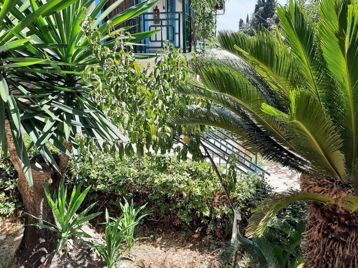Cheerful In With Balcony Apartment